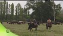 Parco San Rossore