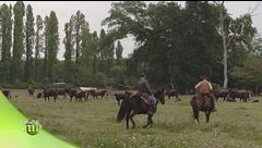 Parco San Rossore
