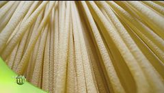 La pasta di Gragnano IGP