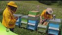 Riserva di biosfera