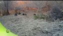 La fauna del parco dei laghi