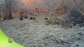 La fauna del parco dei laghi