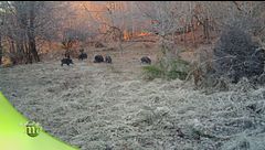 La fauna del parco dei laghi