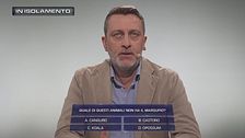 Una nuova domanda per Alessandro