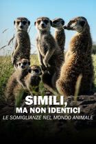 Simili, ma non identici - Le somiglianze nel mondo animale