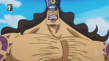 Ep. 15 - La rabbia di Luffy O-Tama in pericolo!