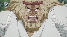 Ep. 21 - Sconfiggere kaido ha inizio l'operazione segreta
