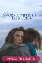 La forma imperfetta dei ricordi