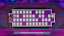 Round Musicale: Pinguini Tattici Nucleari