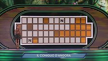 Il regno degli animali: il coniglio d'Angora
