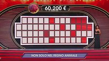 Jackpot: Non solo nel regno animale