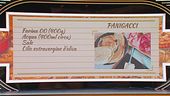 La locanda di Samira: panigacci