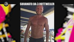 ANDREETTA: Sbranato da 3 rottweiler