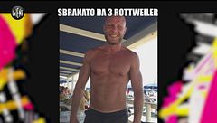 ANDREETTA: Sbranato da 3 rottweiler