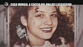 AGGIORNAMENTO: Caso Murgia, a caccia del dns dell'assassino