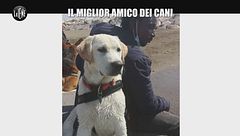 CIZCO: Il miglior amico dei cani
