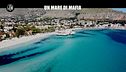 PECORARO: Un mare di mafia