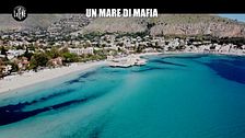 PECORARO: Un mare di mafia