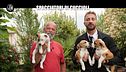 CORTI: Spacciatori di cuccioli