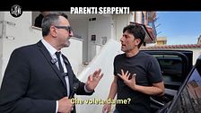 PELAZZA: Parenti serpenti