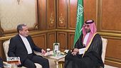 La nuova strategia dell'Arabia Saudita