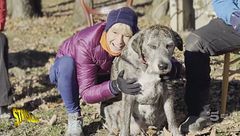 Il rifugio dove sono i cani ad adottare le persone