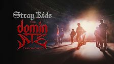 Stray Kids: The Dominate Experience