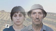 Le Iene presentano: Il Verdetto