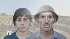 Le Iene presentano: Il Verdetto