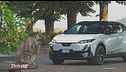 Subaru Uncharted