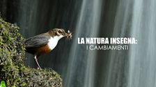 La natura insegna: i cambiamenti
