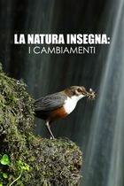 La natura insegna: i cambiamenti