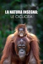 La natura insegna: le ciclicità