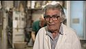 Le ceramiche di Albissola