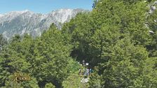 Il Cammino del Frigido