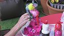 La colorazione delle statuine