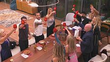 I VIP brindano al prolungamento del programma