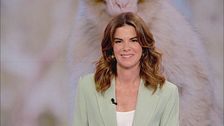 Domenica 24 maggio