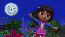La festa di compleanno a sorpresa per Dora / Il party Chiaro di luna
