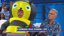 Le domande dello sponsor: l'ape