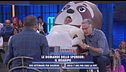 Le domande dello sponsor: il bradipo