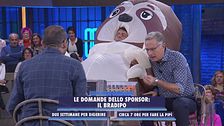 Le domande dello sponsor: il bradipo