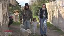 Famiglie non convenzionali