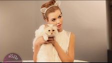 La vita dorata degli animali da compagnia dei famosi
