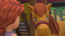 Ep. 3 - Animali di talento