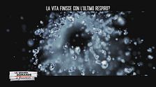 La vita finisce con l'ultimo respiro?