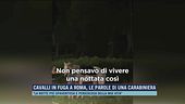 Cavalli in fuga a Roma, le parole di una carabiniera