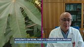 Avvelenate con ricina, parla il consulente della Procura