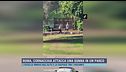 Roma, cornacchia attacca una donna in un parco
