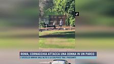 Roma, cornacchia attacca una donna in un parco